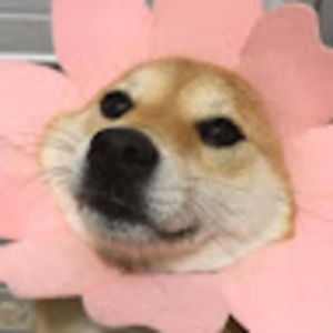 Meet your Posher, Cake